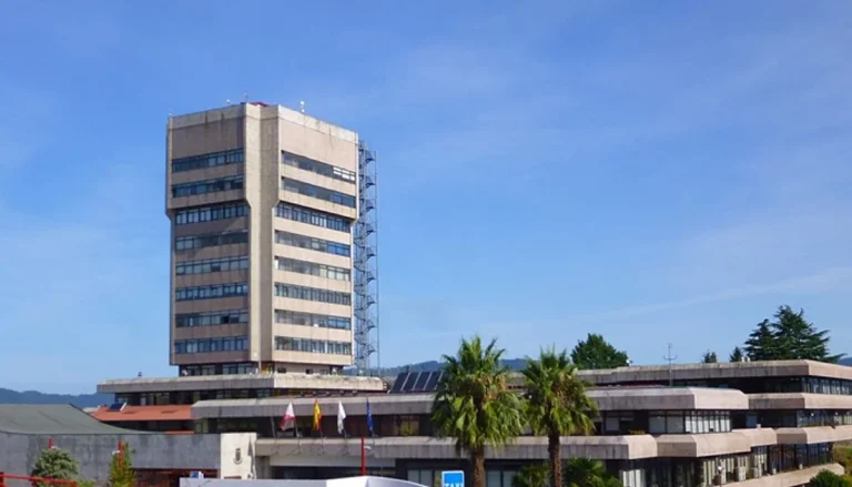 Vigo empleo público